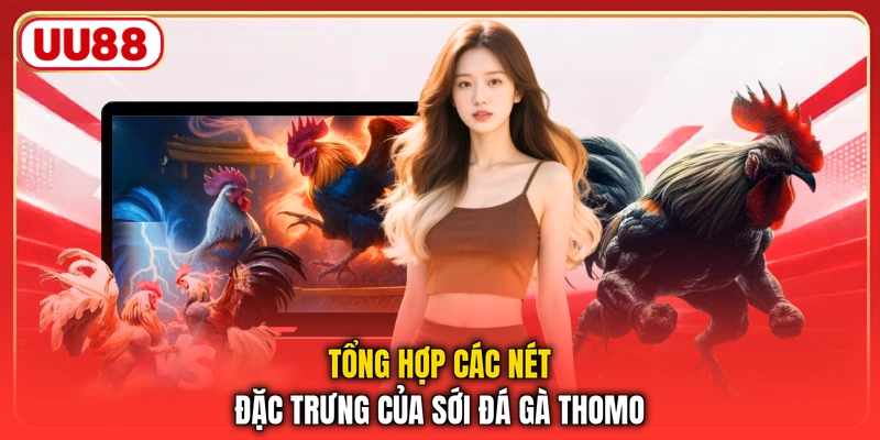 Tổng hợp các nét đặc trưng của sới đá gà thomo